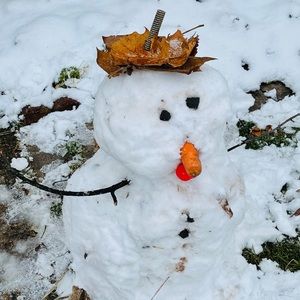 Meet your Posher, Doris